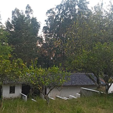 Willa Quinta Los Eucaliptos Quito Zewnętrze zdjęcie