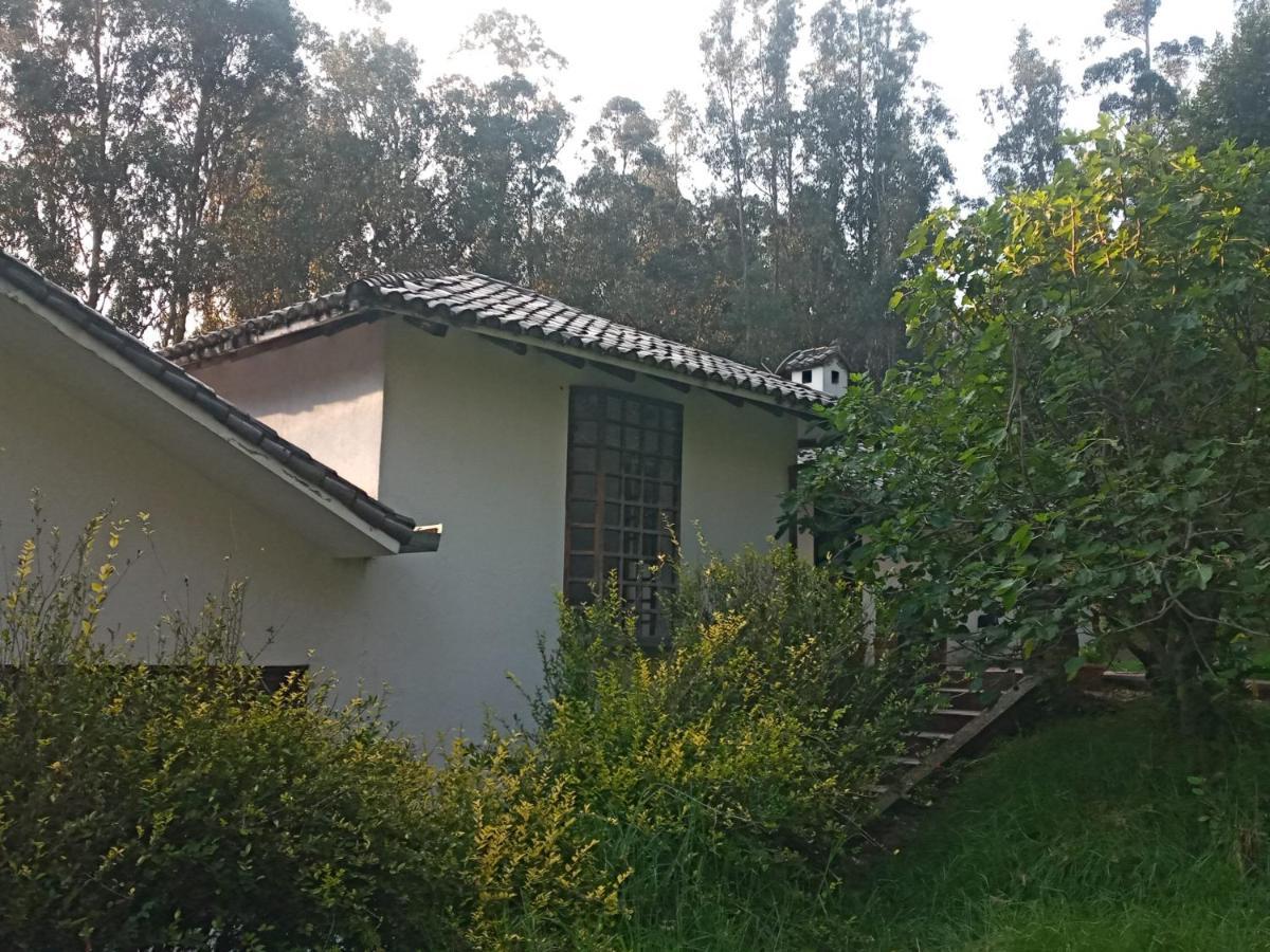 Willa Quinta Los Eucaliptos Quito Zewnętrze zdjęcie